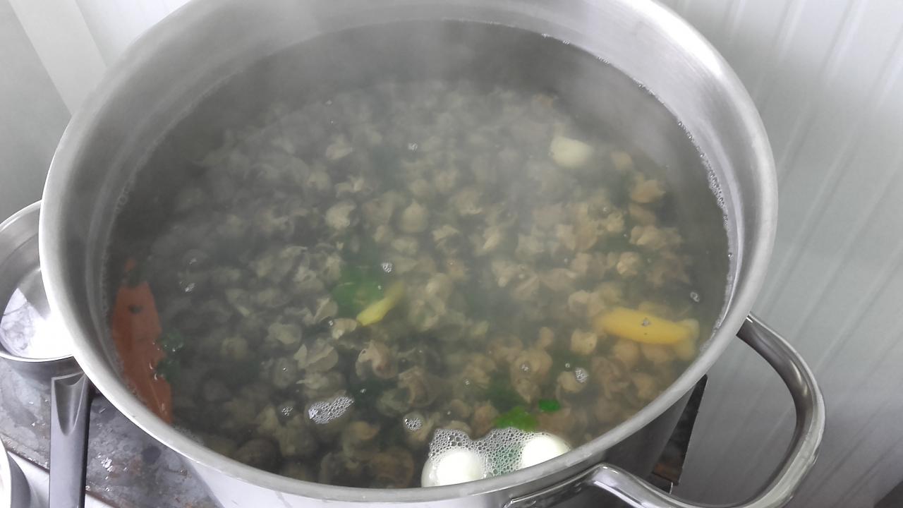 court-bouillon